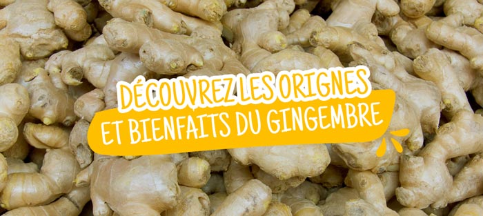 origines-bienfaits-gingembre 