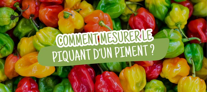 comment-mesurer-piquant-piment 