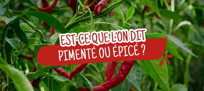 dit-on-pimente-epice 