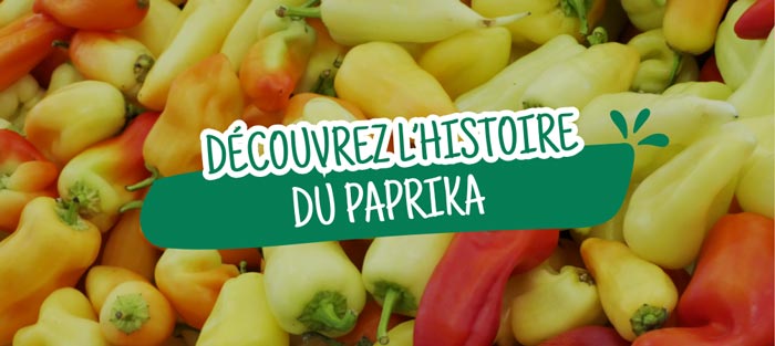 histoire-paprika 