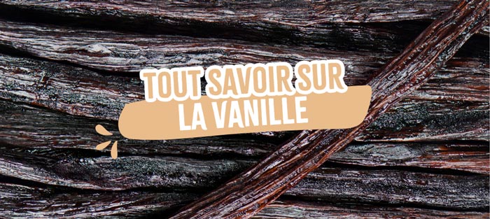 tout-savoir-sur-la-vanille 