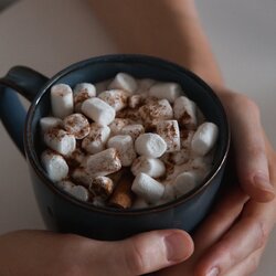chocolat chaud maison avec des guimauves saupoudrées de cacao